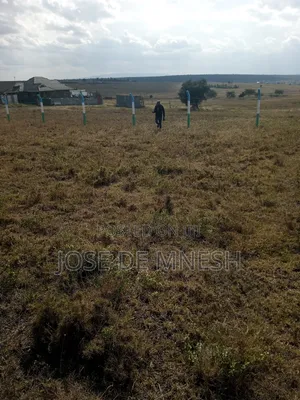 Isinya Plots