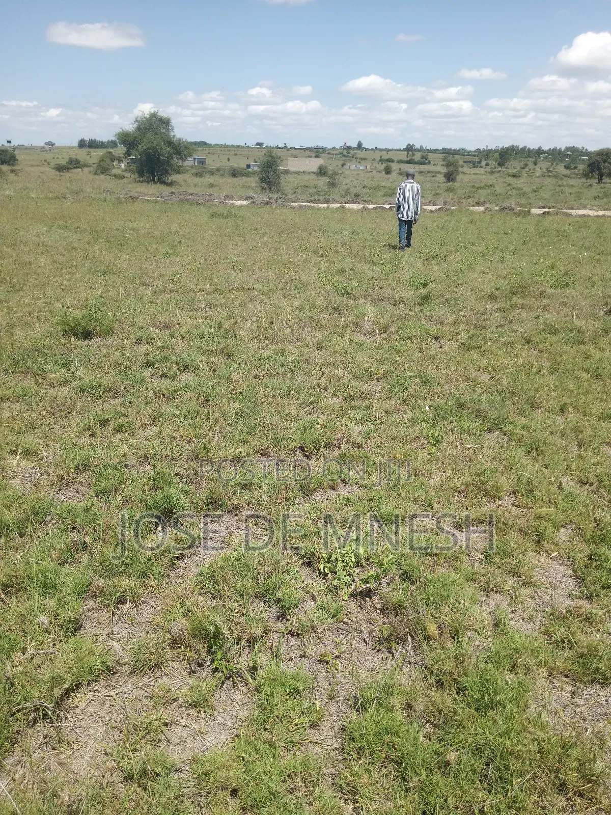 Isinya Plots