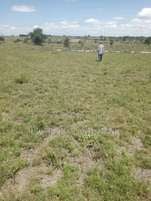 Isinya Plots