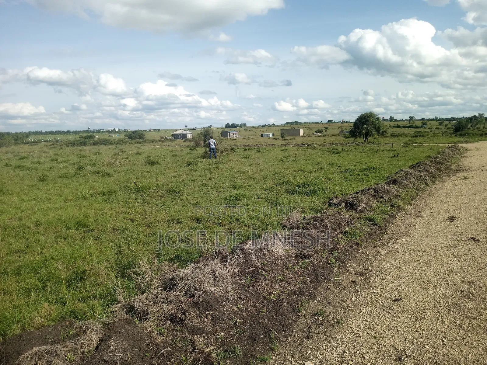 Isinya Plots