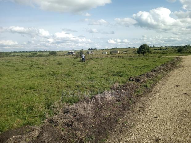Isinya Plots - thumbnail 6