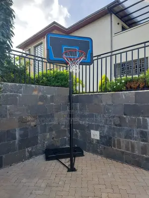 Lifetime Portable Basketball Hoop