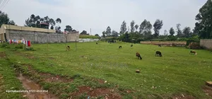 Commercial Plot for Sale in Maili Nne Flyover