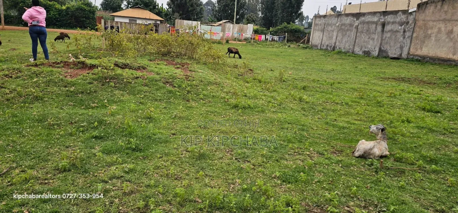 Commercial Plot for Sale in Maili Nne Flyover