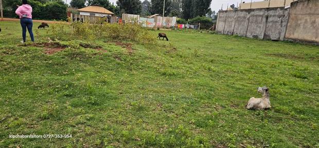 Commercial Plot for Sale in Maili Nne Flyover - thumbnail 8