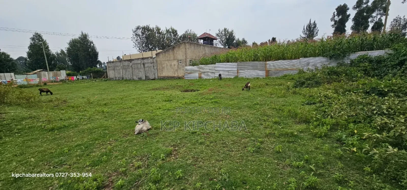 Commercial Plot for Sale in Maili Nne Flyover