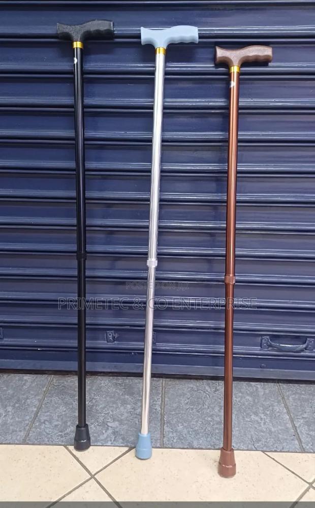 Adjustable Walking Stick - main view