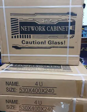 Smooth Paint Finish 4u Wall Mounted Data Cabinet Server Rack