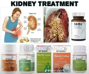 Kidney Treatment - thumbnail 2