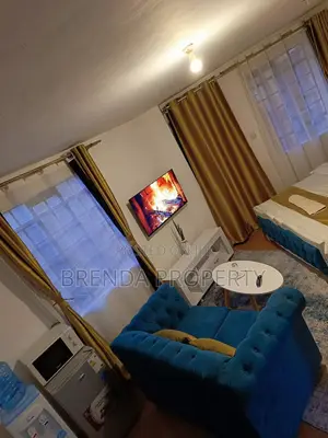 Clean, Cozy, Warm and Secure Studio Apartment Along TRM Drive Roysambu