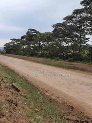 Gilgil Plots on Sale Gilgil Gema ( Along Gema-Eburru Road Kuipasa) - thumbnail 2