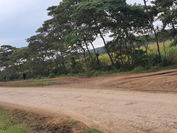 Gilgil Plots on Sale Gilgil Gema ( Along Gema-Eburru Road Kuipasa) - thumbnail 4