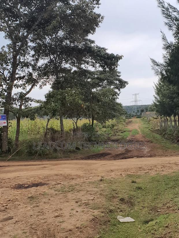 Gilgil Plots on Sale Gilgil Gema ( Along Gema-Eburru Road Kuipasa) - thumbnail 5