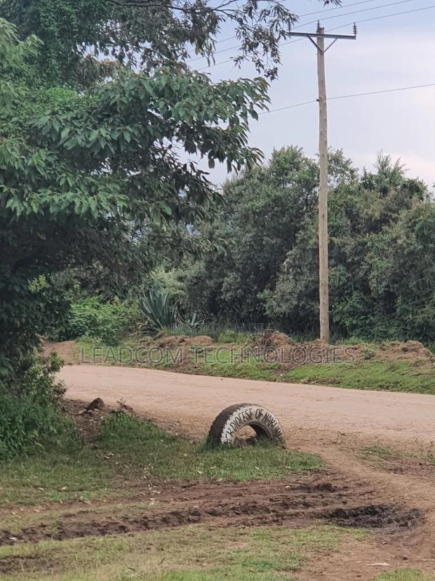 Gilgil Plots on Sale Gilgil Gema ( Along Gema-Eburru Road Kuipasa) - thumbnail 8