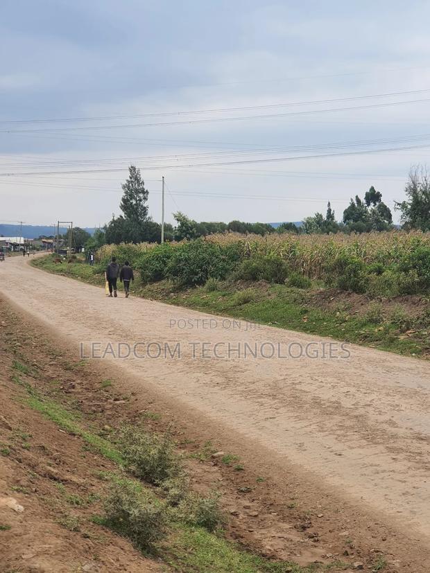 Gilgil Plots on Sale Gilgil Gema ( Along Gema-Eburru Road Kuipasa) - thumbnail 13