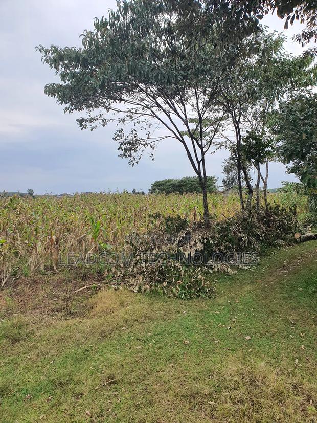 Gilgil Plots on Sale Gilgil Gema ( Along Gema-Eburru Road Kuipasa) - thumbnail 19