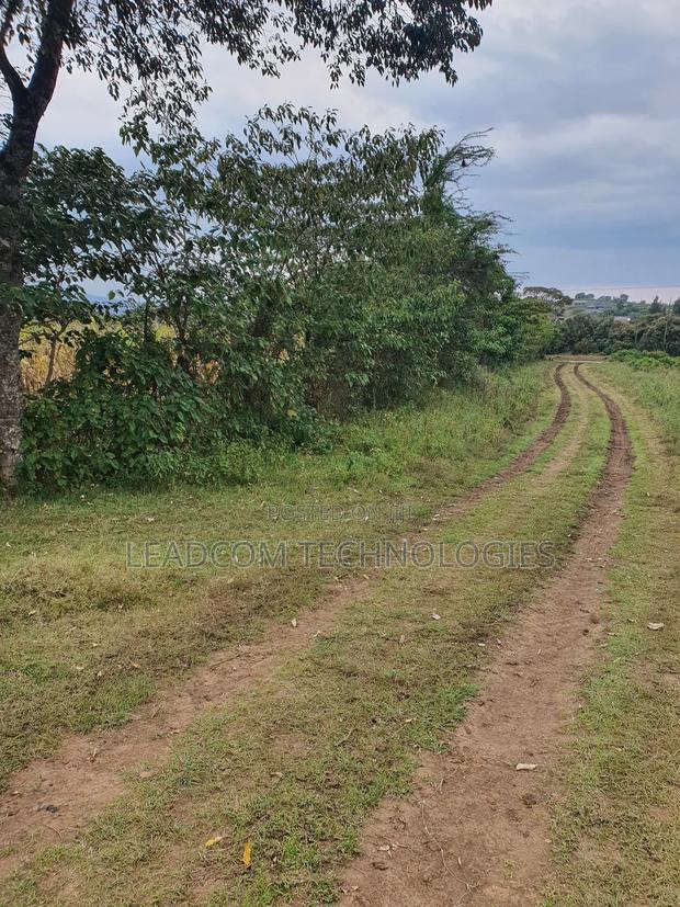 Gilgil Plots on Sale Gilgil Gema ( Along Gema-Eburru Road Kuipasa) - thumbnail 20