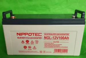 Powerful 100ah Nippotec Battery
