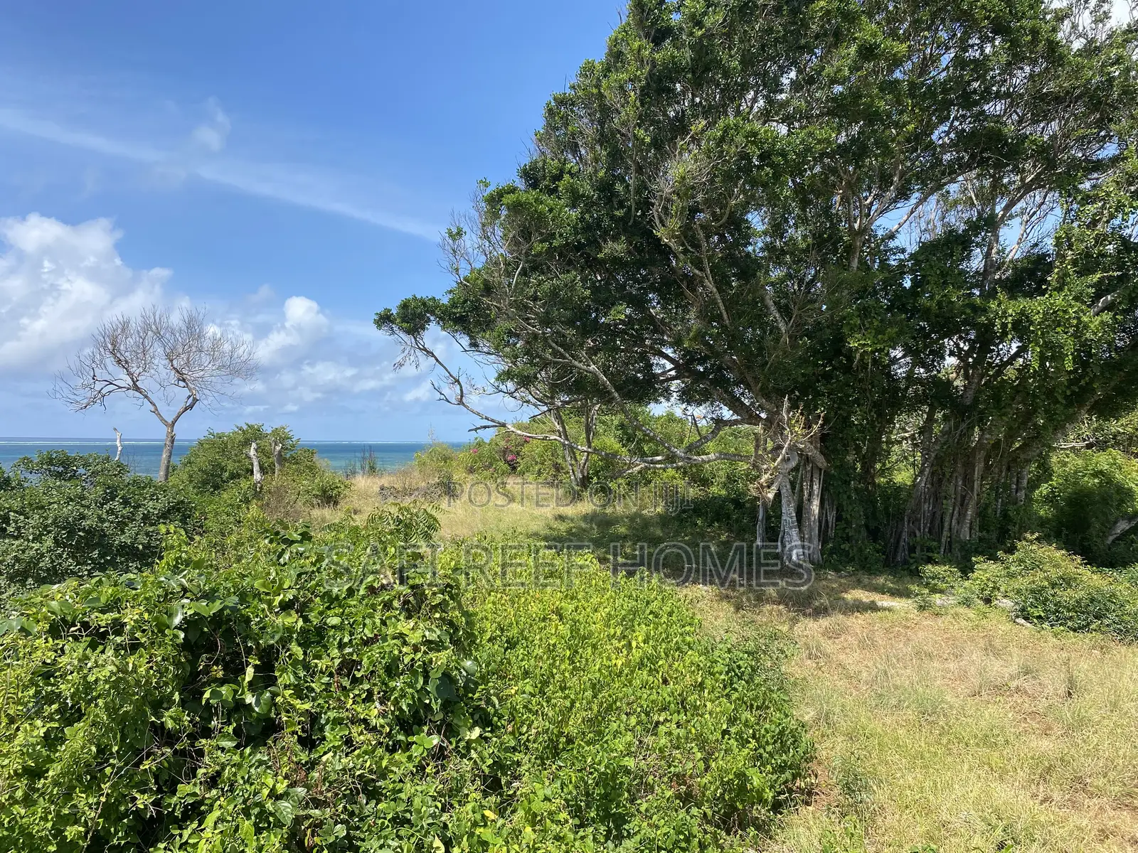 Prime Beach Plot Prime 21 Acres for Sale Mombasa