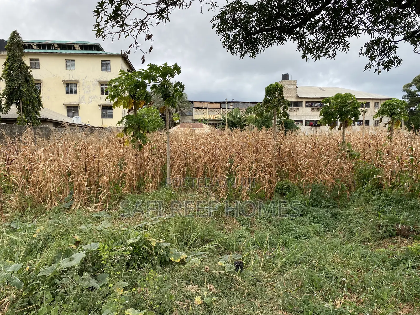 1/4 Acre Plot for Sale in Kongowea Prime for Development