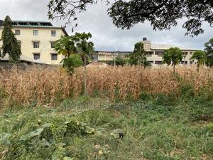 1/4 Acre Plot for Sale in Kongowea Prime for Development - thumbnail 2