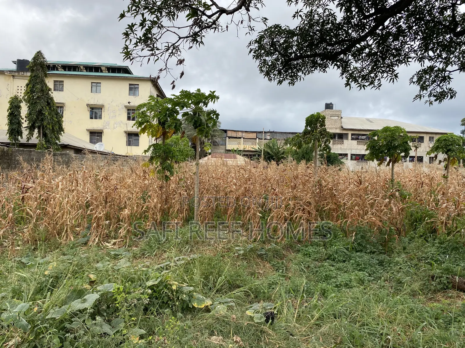 1/4 Acre Plot for Sale in Kongowea Prime for Development