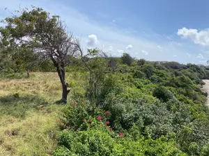 21 Acres Beach Plot in Mombasa for Sale Idea for Hotel