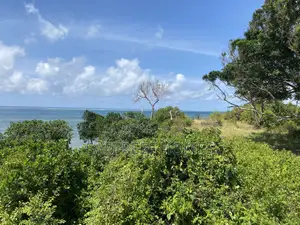 21 Acres Beach Plot in Mombasa for Sale Idea for Hotel