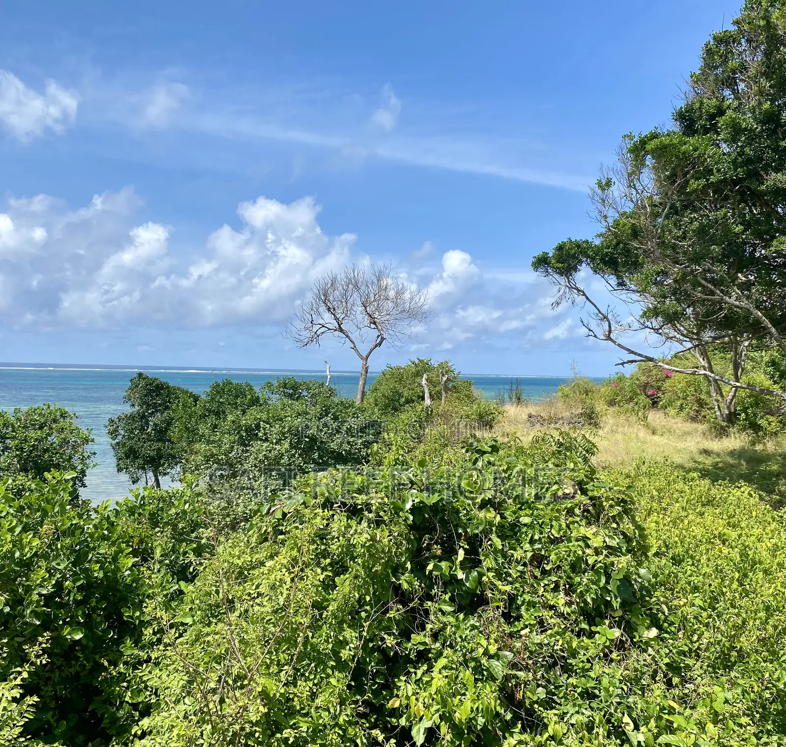 21 Acres Beach Plot in Mombasa for Sale Idea for Hotel
