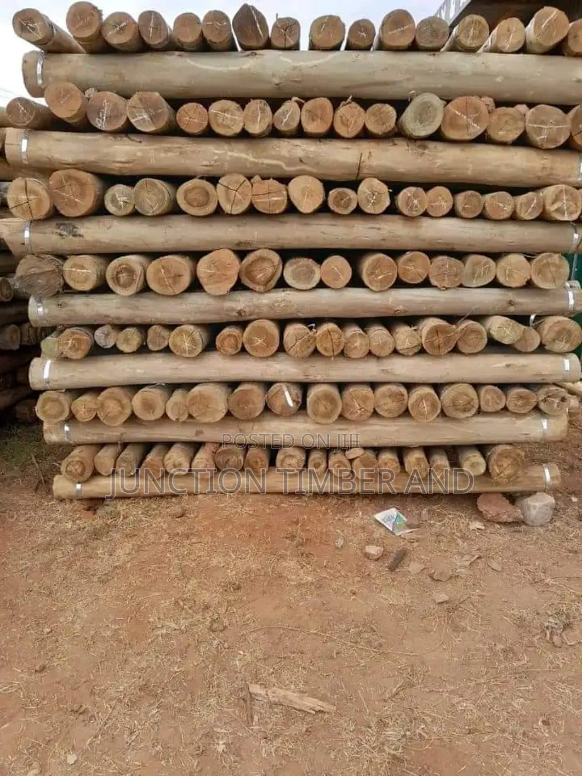 Steamed and Treated Posts