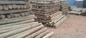 Steamed and Treated Posts