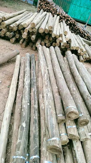 Steamed and Treated Posts