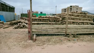 Steamed and Treated Posts