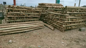 Steamed and Treated Posts