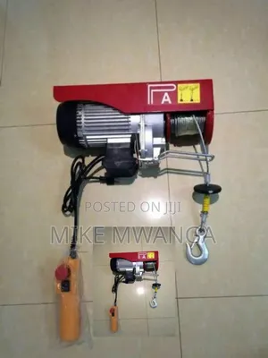 Robust Steel Construction Hoist 500kg