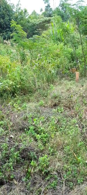 50by 100 At Kamangu Gitutha Area - thumbnail 2