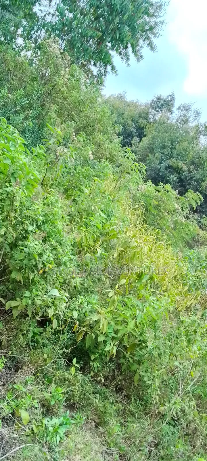 50by 100 At Kamangu Gitutha Area