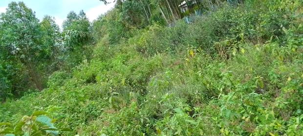 50by 100 At Kamangu Gitutha Area - thumbnail 6