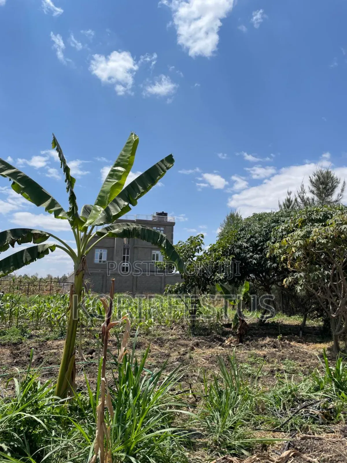 A Plot for Sale at Kamulu Ngundu