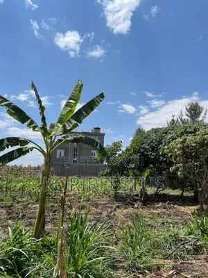 A Plot for Sale at Kamulu Ngundu
