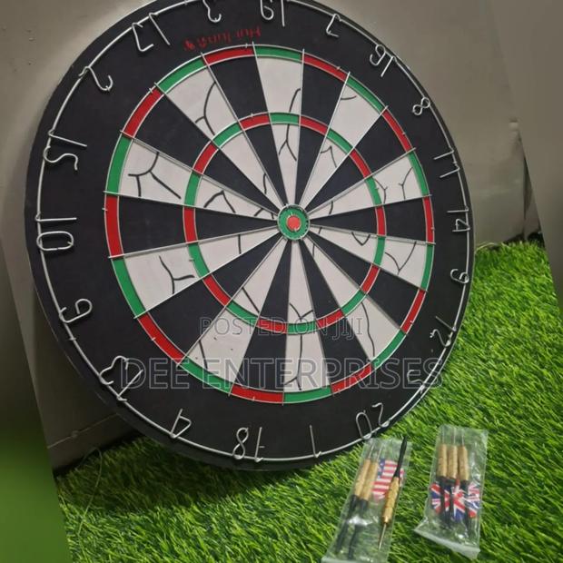 Professional Dart Board - main view