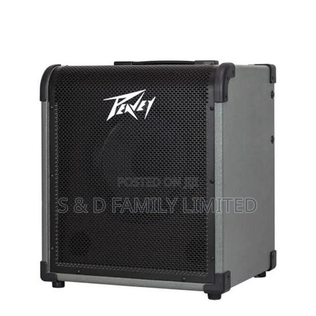 Peavey Max 100 Bass Combo