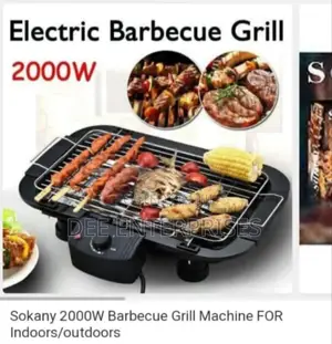 Electric Barbecue Grill