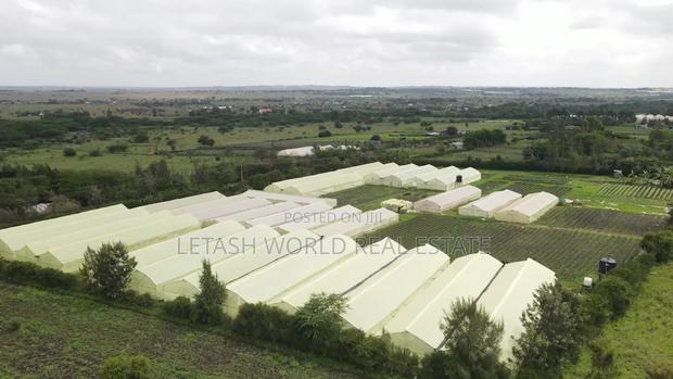 Plains 2 Kitengela, 50 by 100ft Plots, - thumbnail 6