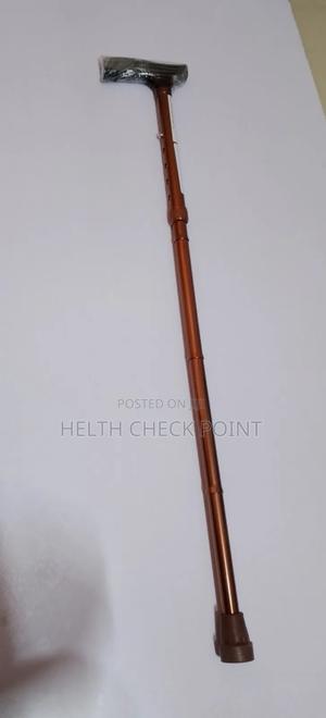 Foldable Walking Stick - main view