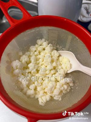 Kefir Grains - thumbnail 2