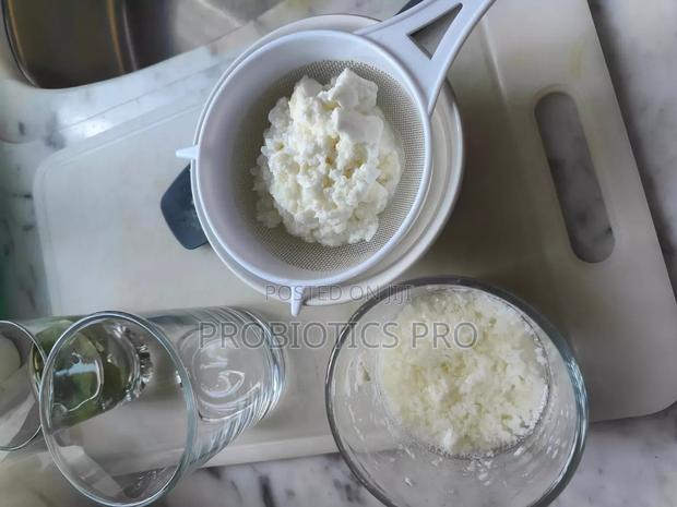 Kefir Grains - thumbnail 3