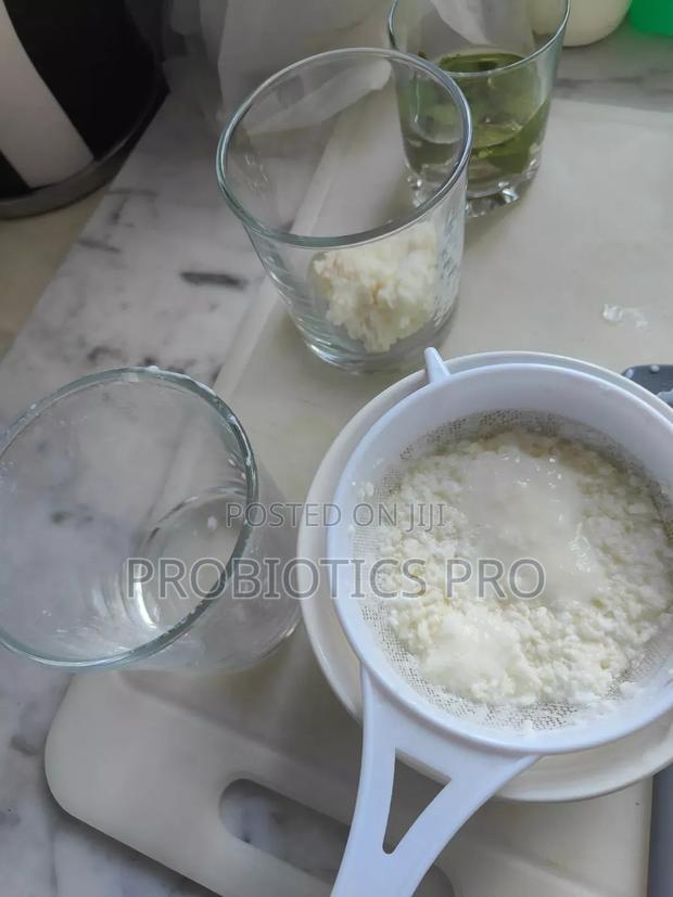 Kefir Grains - thumbnail 4