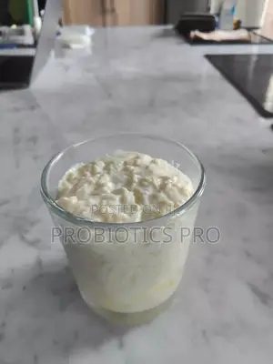 Kefir Grains