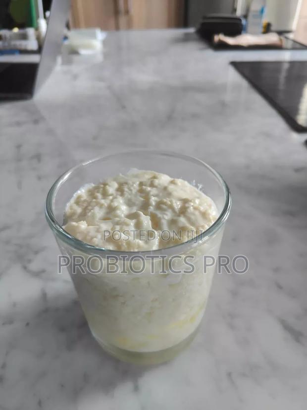 Kefir Grains - thumbnail 6